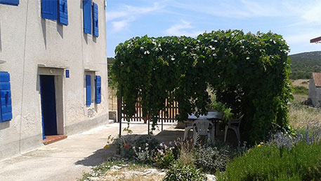 Alloggio - Appartamenti - L'isola di Lussino - Mali Lošinj - Unije - Croazia